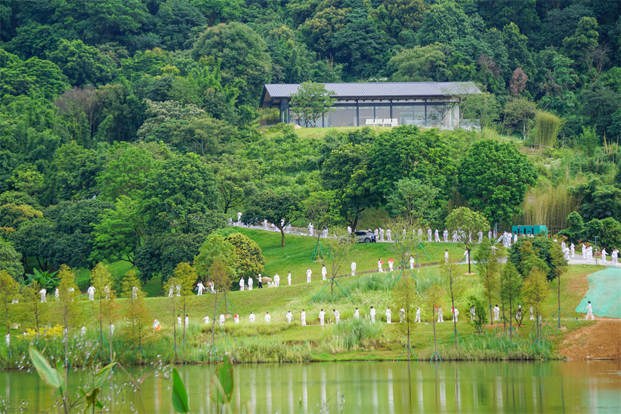 122cc太阳集成游戏